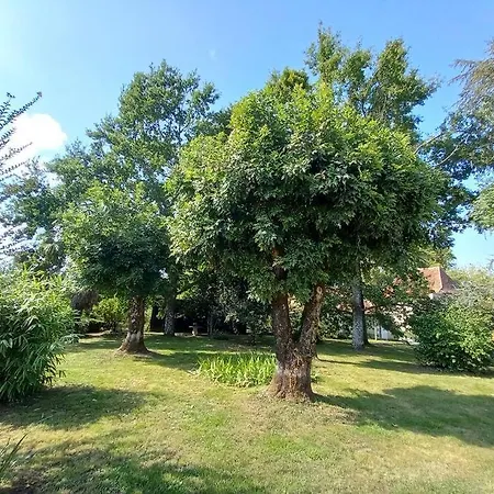 D'elvire Maison Chaleureuse Avec Jacuzzi Privatif Et Parc Arbore * Μπερζεράκ