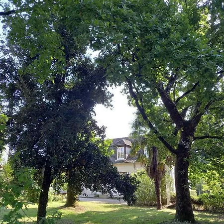 D'elvire Maison Chaleureuse Avec Jacuzzi Privatif Et Parc Arbore Σπίτι διακοπών *